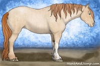 Horse Color:Buckskin Roan Pearl  and Smoky Blue Roan Pearl 