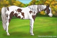 Horse Color:White Spotted Silver Bay Splash Tobiano 