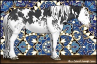 Horse Color:White Spotted Black Splash