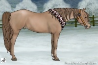 Horse Color:Black Pearl