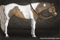 Horse Color:Chocolate Palomino Tobiano 