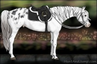Horse Color:White Spotted Blue Roan Splash Frame Varnish