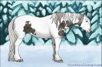 Horse Color:White Spotted Silver Grullo Ice Splash Tobiano 