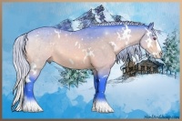 Horse Color:Watercolor White Spotted Silver Bay Chinchilla Splash 