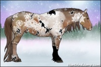Horse Color:White Spotted Liver Chestnut Ice