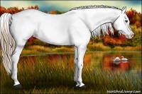 Horse Color:Liver Chestnut Varnish 
