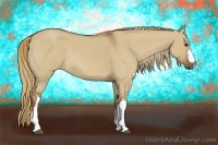 Horse Color:Red Dun Roan 