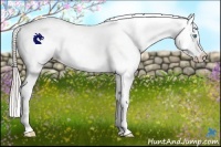 Horse Color:Chocolate Palomino Pearl Blanket 
