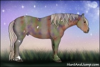 Horse Color:Nacre White Spotted Silver Black Sabino