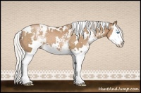 Horse Color:White Spotted Silver Black Pearl Splash