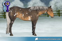 Horse Color:White Spotted Silver Smoky Black