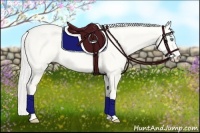 Horse Color:Silver Perlino Dun 