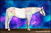 Horse Color:Nacre Cremello Dun Sabino 