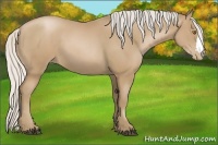 Horse Color:Silver Black Pearl