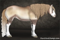Horse Color:Liver Red Onyx Pearl Sabino Splash