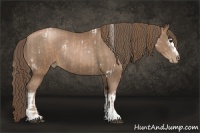 Horse Color:White Spotted Brown Pearl Sabino Rabicano  and White Spotted Black Pearl Sabino Rabicano 