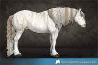 Horse Color:White Spotted Brown Snowdrop Pearl Sabino Rabicano and White Spotted Black Snowdrop Pearl Sabino Rabicano