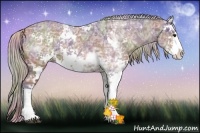 Horse Color:Nacre Silver Bay Ice Sabino 