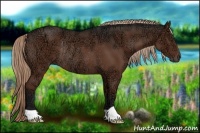 Horse Color:Liver Chestnut Ice Rabicano