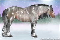 Horse Color:White Spotted Brown Ice Sabino Rabicano 