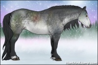 Horse Color:Brown Chinchilla Sabino 