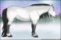 Horse Color:Brown Chinchilla Ice Sabino