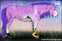 Horse Color:Watercolor Buckskin Ice Sabino 