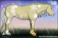 Horse Color:Watercolor Silver Sable Cream Champagne Ice Dun Sabino