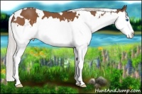 Horse Color:White Spotted Silver Bay Sabino Splash