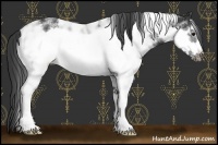 Horse Color:Black Sabino Frame