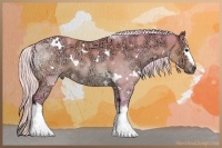 Horse Color:Watercolor White Spotted Silver Brown Ice