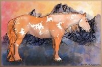 Horse Color:Watercolor White Spotted Liver Chestnut