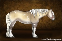 Horse Color:White Spotted Liver Red Dun Onyx 