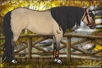 Horse Color:Brown Roan Dun 