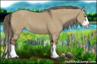 Horse Color:Liver Red Dun Sabino Splash Rabicano