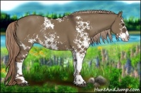 Horse Color:Liver Red Dun Sabino Rabicano