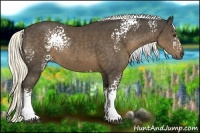 Horse Color:White Spotted Liver Chestnut Sabino 