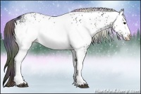 Horse Color:Nacre White Spotted Black Ice
