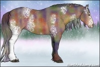 Horse Color:Nacre White Spotted Buckskin 