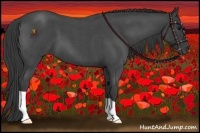 Horse Color:Smoky Blue Roan 