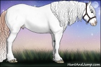 Horse Color:White Spotted Liver Red Onyx Sabino Splash Appaloosa Rabicano 