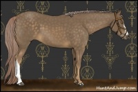 Horse Color:Chocolate Palomino 