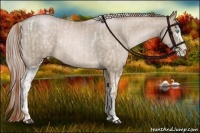 Horse Color:White Spotted Buckskin Roan Pearl and White Spotted Chocolate Palomino Pearl