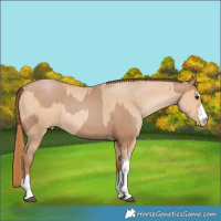 Horse Color:Black Pearl Tobiano  and Brown Pearl Dun 