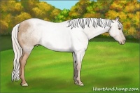 Horse Color:Chocolate Silver Brown Pearl 