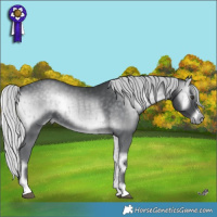 Horse Color:Silver Blue Onyx Chinchilla Brindle 