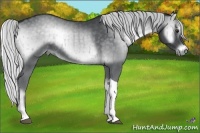 Horse Color:Silver Blue Onyx Chinchilla Brindle 