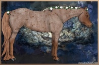 Horse Color:Red Roan 