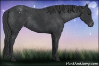 Horse Color:Black Varnish Rabicano 
