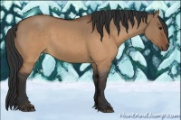 Horse Color:Brown Roan Dun 